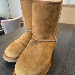 Ugg boots chestnut